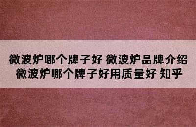 微波炉哪个牌子好 微波炉品牌介绍 微波炉哪个牌子好用质量好 知乎